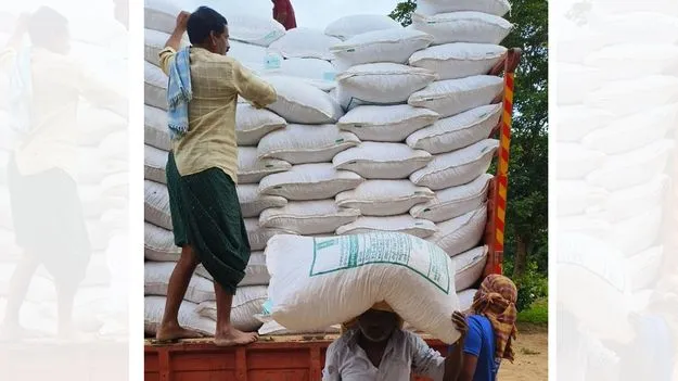 Seeds: 4నుంచి వేరుశనగ విత్తనాల పంపిణీ