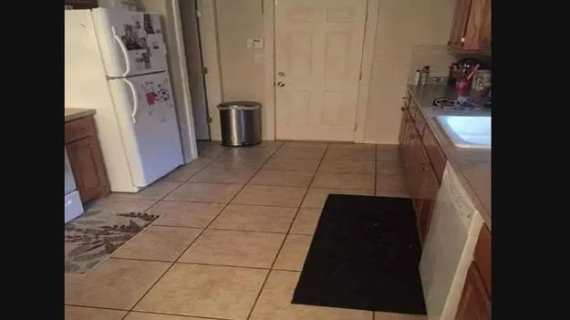 Optical Illusion Test: మీ కళ్లకు, బ్రెయిన్‌కు సూపర్ టెస్ట్.. ఈ గదిలో కుక్క ఎక్కడుందో 10 సెకెన్లలో కనిపెట్టండి