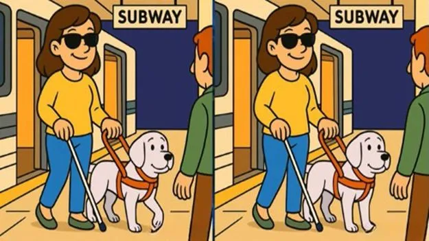 Picture Puzzle: మీ పరిశీలనా శక్తికి టెస్ట్.. ఈ ఫొటోల్లోని మూడు తేడాలను 33 సెకెన్లలో కనిపెట్టండి