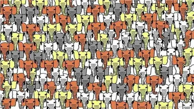 Optical Illusion Test: మీది హెచ్‌డీ చూపు అయితేనే.. ఈ ఏనుగుల మధ్యనున్న పాండాను 7 సెకెన్లలో కనిపెట్టండి
