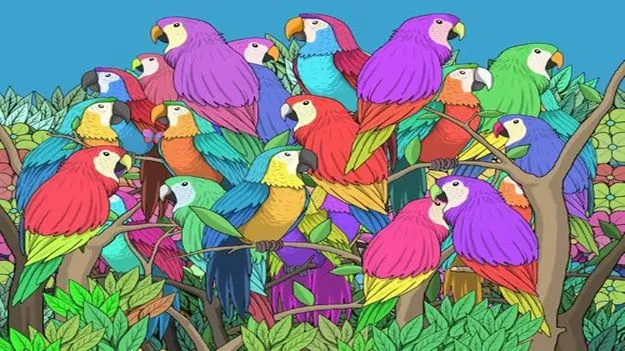 Optical Illusion Test: మీది పవర్‌ఫుల్ చూపు అయితే.. పక్షుల మధ్యనున్న సీతాకోక చిలుకను 9 సెకెన్లలో కనిపెట్టండి