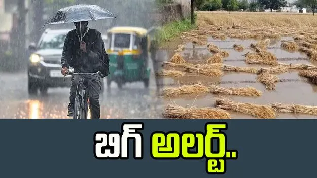 Crop Loss: చేతికొచ్చిన పంటలను ముంచిన వాన