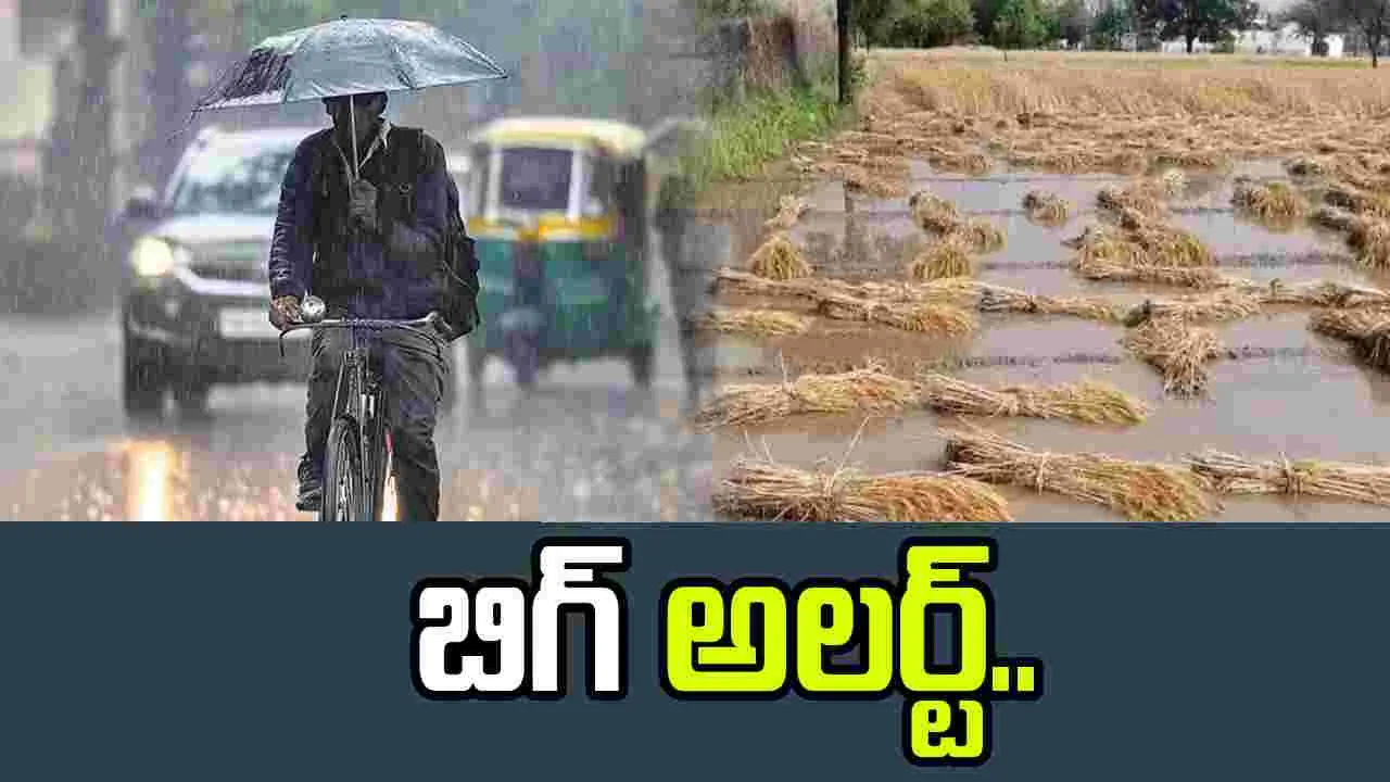 Crop Loss: చేతికొచ్చిన పంటలను ముంచిన వాన