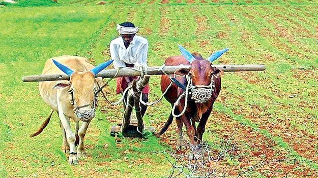    అన్నదాత సుఖీభవ పథకం 