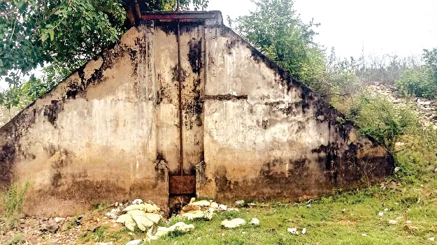   It Can Turn Green Again మరమ్మతులు చేస్తే.. సస్యశ్యామలమే..