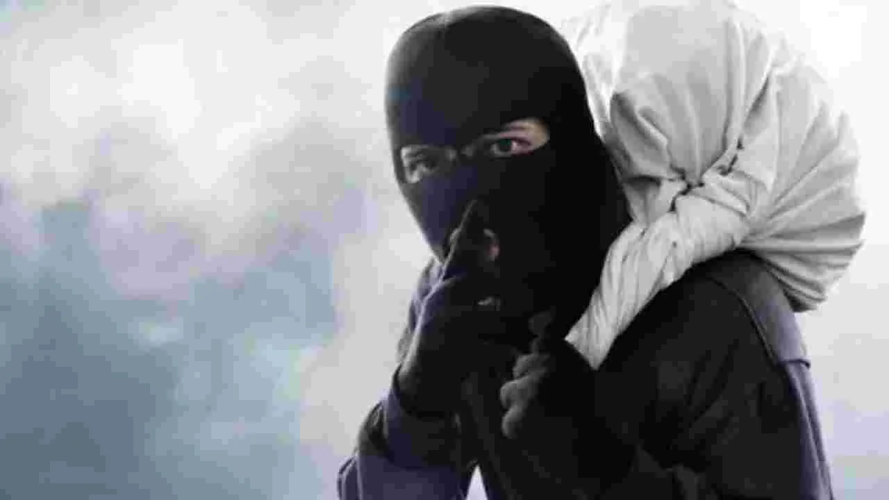 Robbery Attempt: వీడో అమాయకపు దొంగ.. అసలు కథేంటంటే