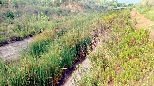 ఆధునికీ‘కరుణ’ లేకపోయె