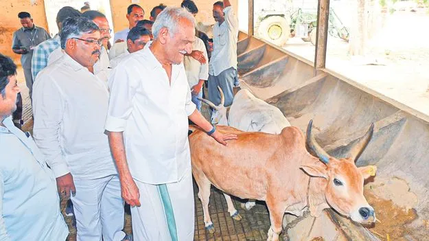 Gosala Management Defended: గోశాలపై విష ప్రచారం తగదు