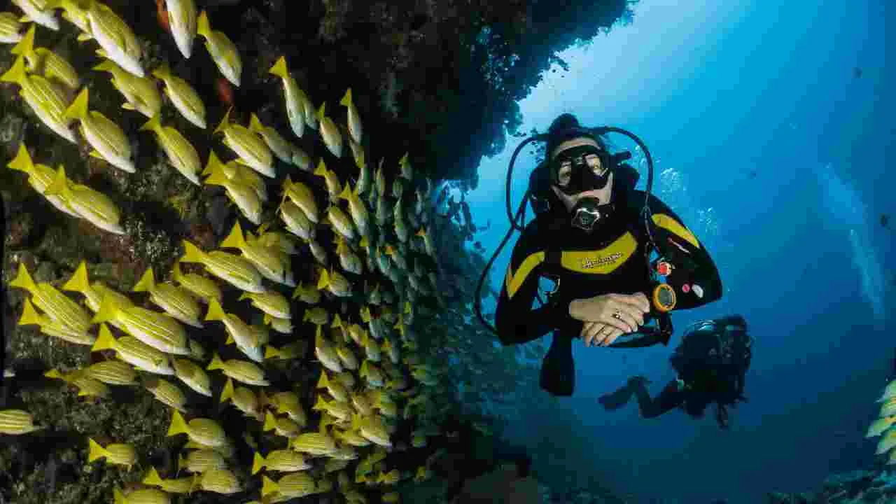 Best Adventours Spots: హార్ట్బీట్ స్పీడ్ పెరిగే ట్రిప్కి రెడీనా.. ఇండియాలోని టాప్ 6 అడ్వెంచర్ డెస్టినేషన్స్ ఇవే..