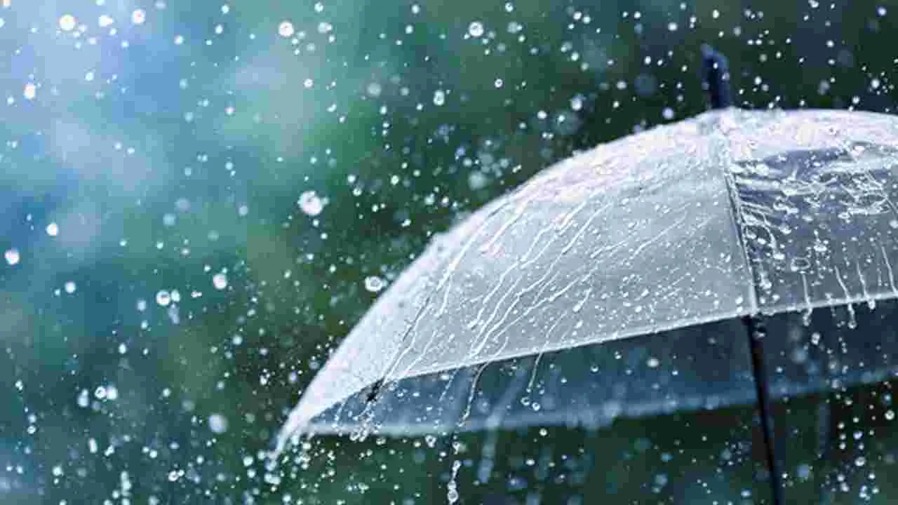 AP Weather Update: రేపు దక్షిణ అండమాన్‌కు నైరుతి 