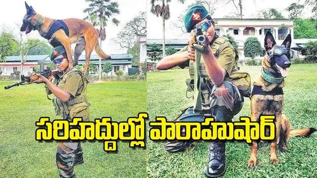 PV Srilakshmi: సరిహద్దుల్లో పారాహుషార్‌