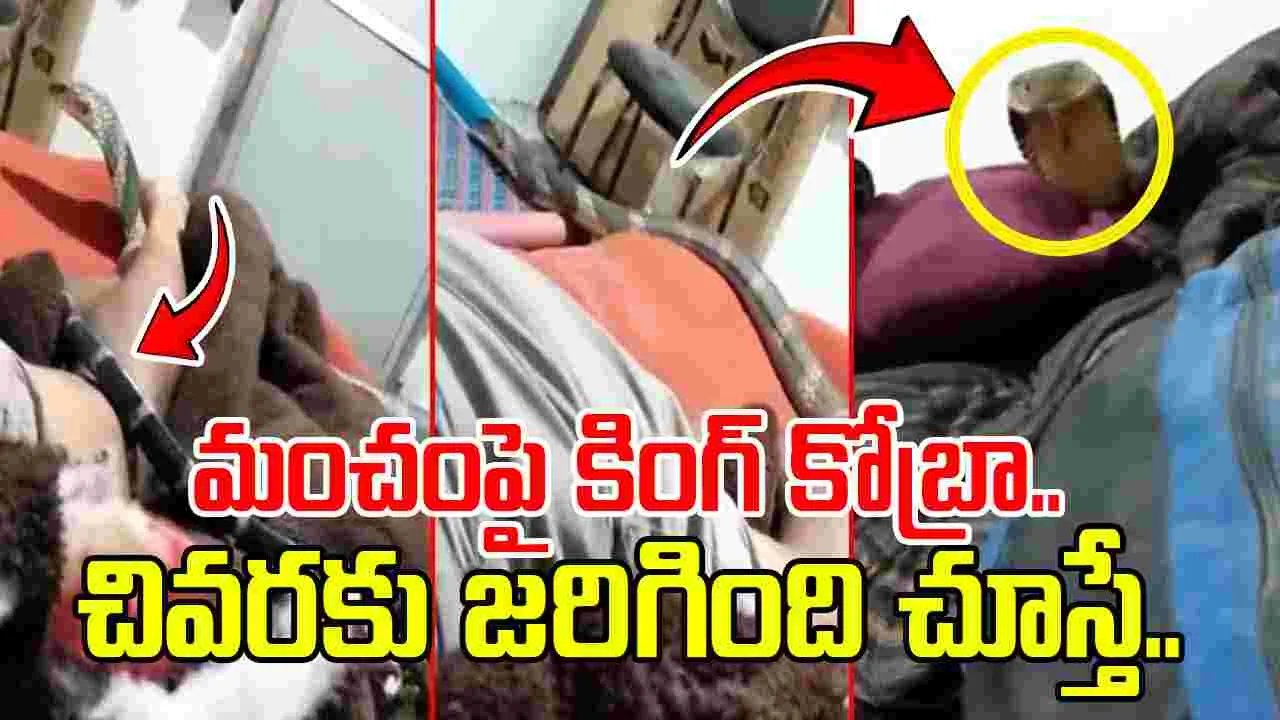 King Cobra Viral Video: గాఢ నిద్రలో వ్యక్తి.. పైకి ఎక్కిన కింగ్ కోబ్రా.. చివరికి ఒళ్లు జలదరించే సీన్..