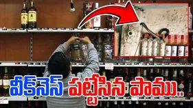 Snake Funny Video: వైన్ షాపులోకి దూరిన పాము.. తరిమికొట్టాలని చూడగా.. ఎలా భయపెట్టిందంటే.. 