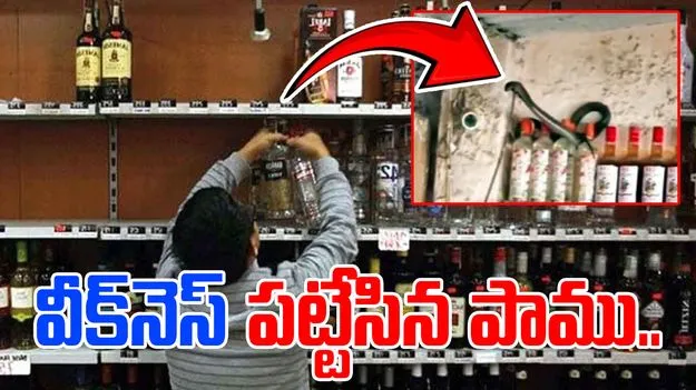 Snake Funny Video: వైన్ షాపులోకి దూరిన పాము.. తరిమికొట్టాలని చూడగా.. ఎలా భయపెట్టిందంటే..