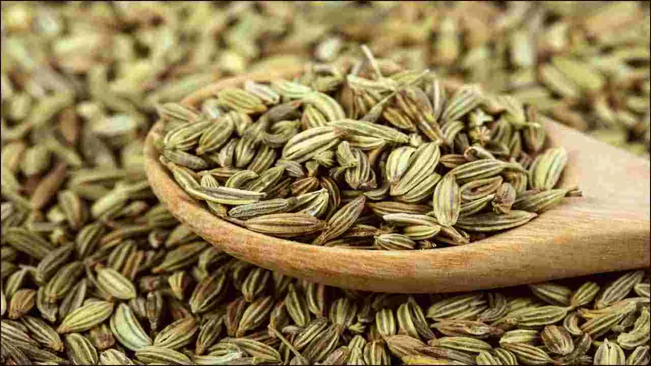  Fennel Tea Benefits: ఈ చిన్న విత్తనాల టీతో లెక్కలేనన్ని ఆరోగ్య ప్రయోజనాలు..