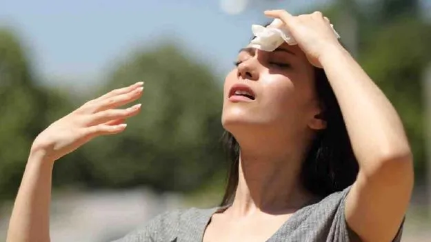 Heatwave Alert: మే నెల వచ్చేసింది.. హీట్ వేవ్స్ వల్ల ఈ సమస్యలు.. జాగ్రత్త..