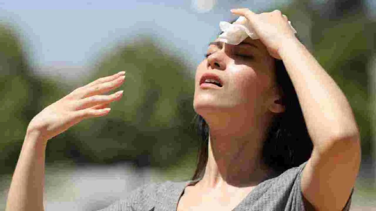 Heatwave Alert: మే నెల వచ్చేసింది.. హీట్ వేవ్స్ వల్ల ఈ సమస్యలు.. జాగ్రత్త..