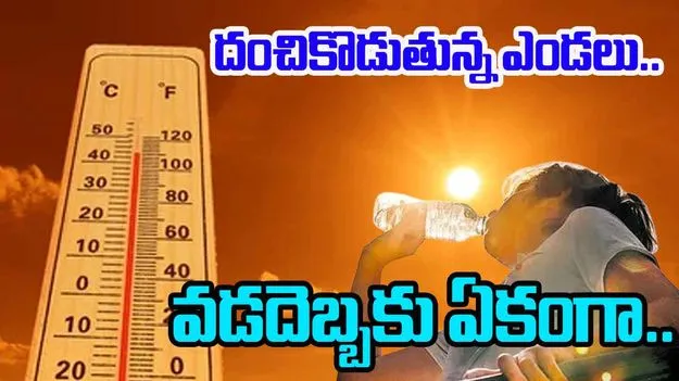 Heatwave Casualties: ఎండ మండింది