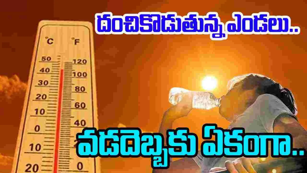 Heatwave Casualties: ఎండ మండింది