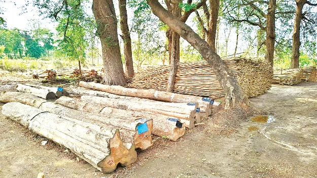  Theft? ఇంటి దొంగల పనేనా?