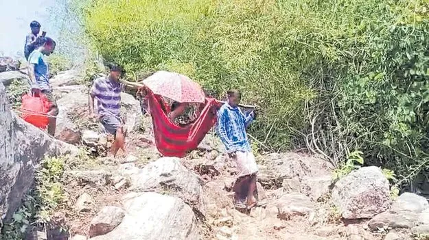 Tribal Woman: డోలీలో గర్భిణి.. అడవిదారిలో ప్రసవం