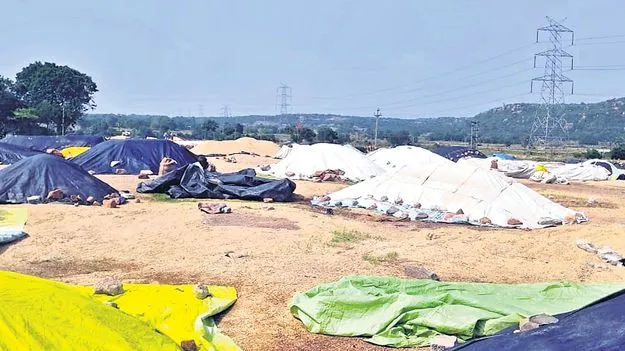 మందకొడిగా ధాన్యం కొనుగోళ్లు