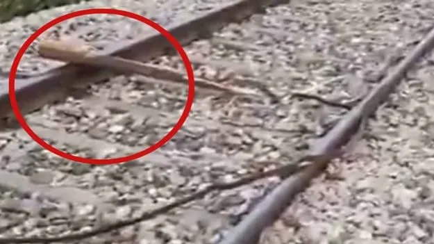 Rajdhani Express: రెండు రైళ్లను పట్టాలు తప్పించే ప్రయత్నం.. లోకోపైలట్ల అప్రమత్తతో తప్పిన ప్రమాదం