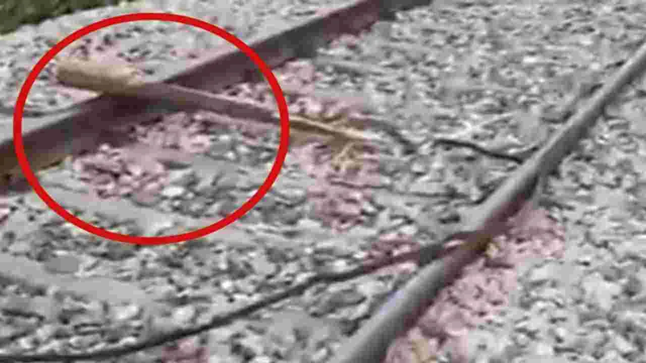 Rajdhani Express: రెండు రైళ్లను పట్టాలు తప్పించే ప్రయత్నం.. లోకోపైలట్ల అప్రమత్తతో తప్పిన ప్రమాదం