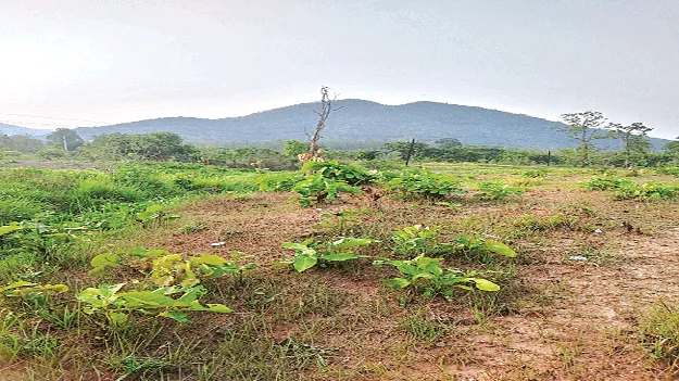 Collect to Earn!  సేకరిస్తే ఆదాయమే!