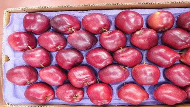 Ban Turkey: పాకిస్తాన్‌కు సహాయం.. టర్కీకి వందల కోట్ల రూపాయల నష్టం