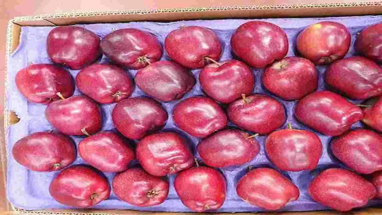 Ban Turkey: పాకిస్తాన్‌కు సహాయం.. టర్కీకి వందల కోట్ల రూపాయల నష్టం