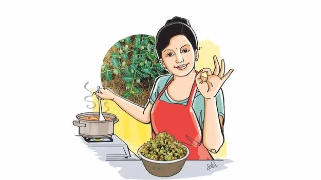 Palleru Plant: పల్లేరుతో భేషైన ఆరోగ్యం..