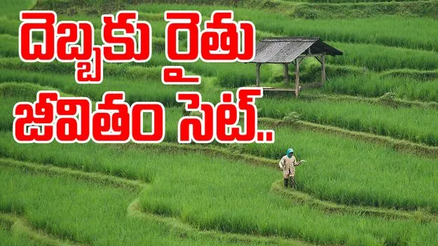 Kurnool Farmer: ఊహించని అదృష్టం.. రైతు జీవితమే మారిపోయింది.. 