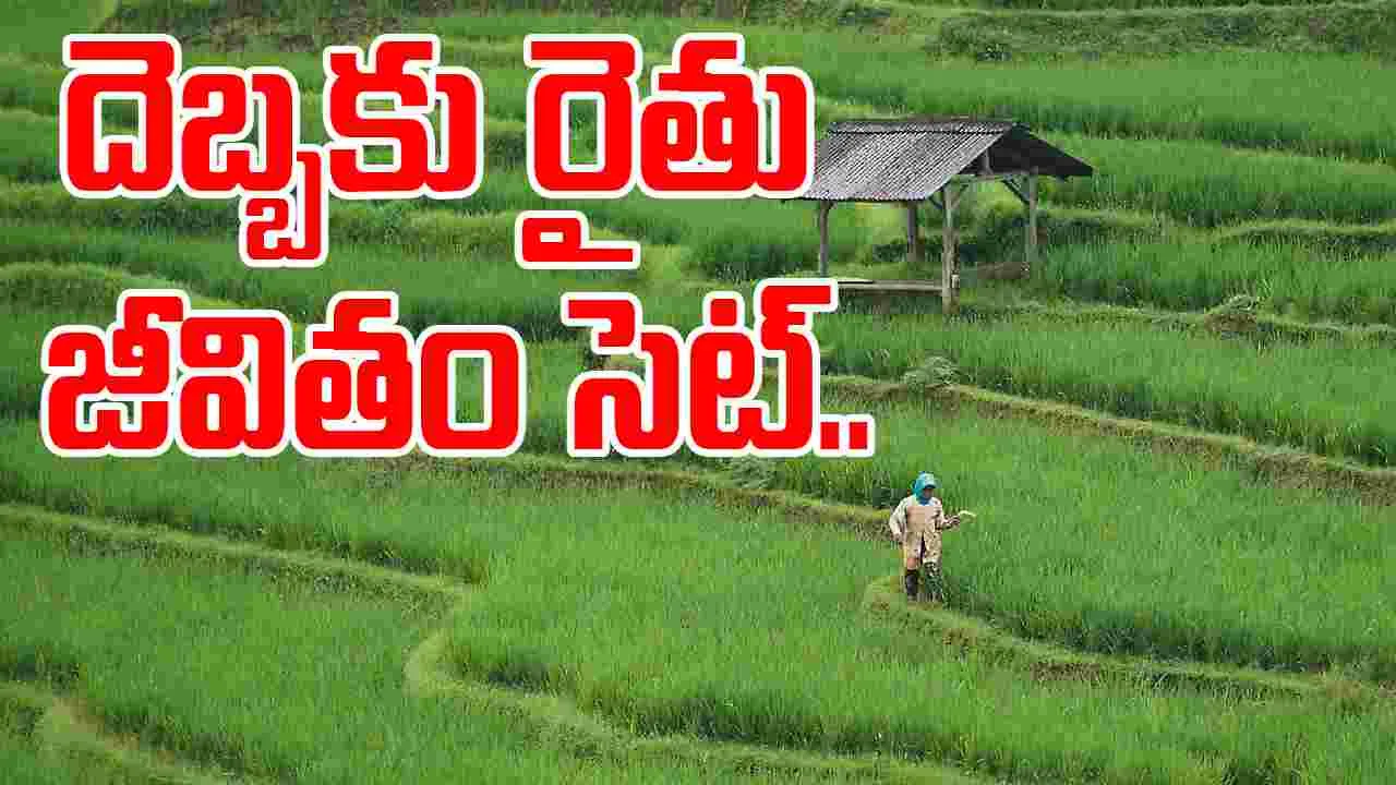 Kurnool Farmer: ఊహించని అదృష్టం.. రైతు జీవితమే మారిపోయింది.. 