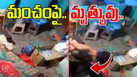 Snake Bite Video: దుప్పటి కప్పుకొని పడుకున్న వ్యక్తి.. లోపలికి దూరిన కింగ్ కోబ్రా.. కాటేయడంతో చివరకు..