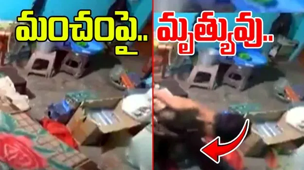 Snake Bite Video: దుప్పటి కప్పుకొని పడుకున్న వ్యక్తి.. లోపలికి దూరిన కింగ్ కోబ్రా.. కాటేయడంతో చివరకు..