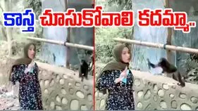 Monkey Funny Video: సెల్ఫీ తీసుకునే ముందు ఆలోచించాలనేది ఇందుకే.. ఈమెకు ఏమైందో చూస్తే.. 