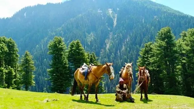 Pahalgam Attack Escape: గుర్రం యజమానులతో బేరమే బతికించింది