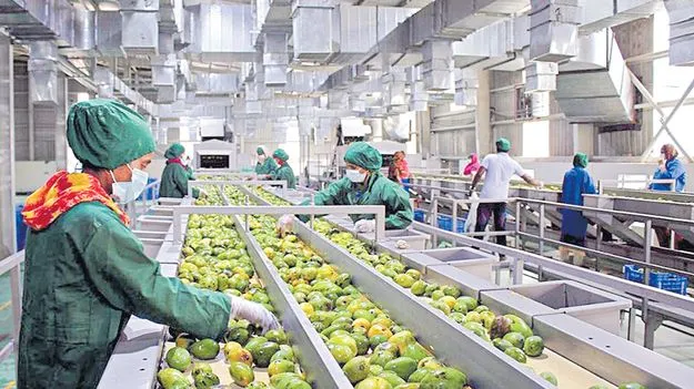 Food Industry Boost: ఆహార శుద్ధి పరిశ్రమతో లబ్ధి