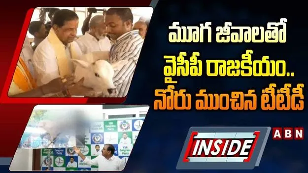 వైసీపీ, కూటమి నేతల మధ్య మాటల తూటాలు