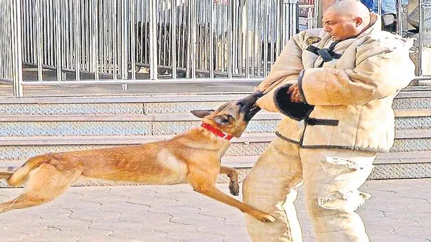 Tirumala: తిరుమలలో భద్రత కట్టుదిట్టం