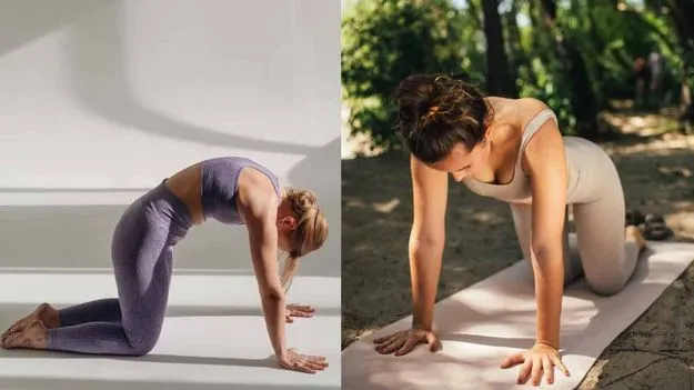 Yoga For Migraine: తరచూ తల భారంగా ఉంటోందా.. ఈ యోగాసనాలతో శాశ్వత పరిష్కారం..