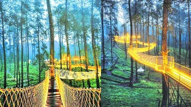 చీకటి పడితే మెరుస్తుంది..