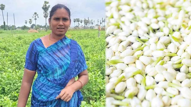 Flower Cultivation: ఆ పూల అందాల వెనుక