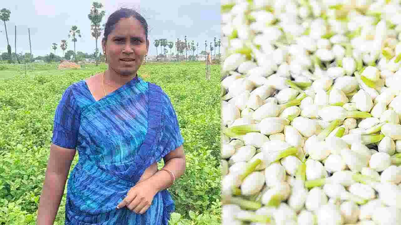 Flower Cultivation: ఆ పూల అందాల వెనుక