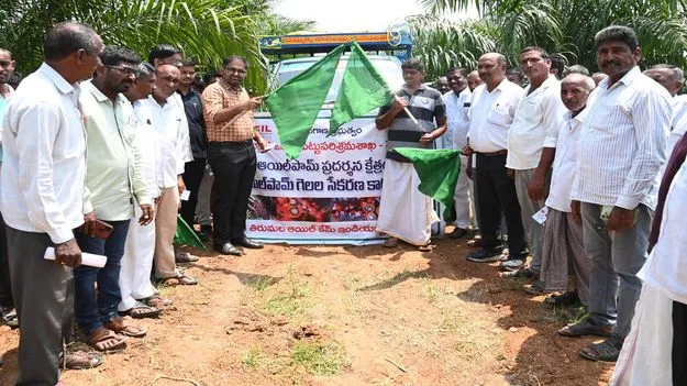 ఆయిల్‌పామ్‌ సాగుపై రైతులు దృష్టిసారించాలి 