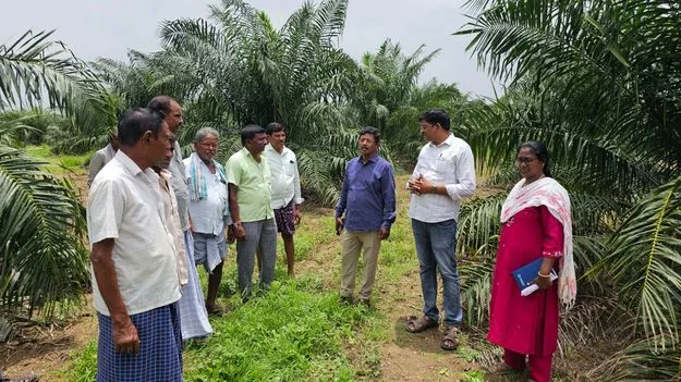 ఆయిల్‌పామ్‌ పంటలను సాగు చేయాలి