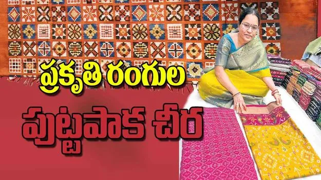 Puttapaka Sarees: ప్రకృతి రంగుల పుట్టపాక చీర