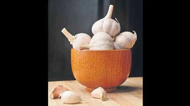 Health Booster: రోజూ వెల్లుల్లి తింటే