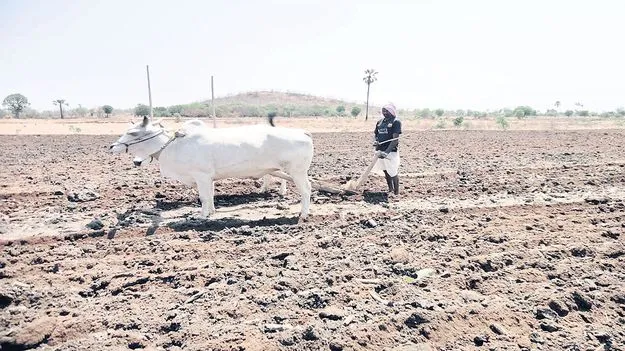 సాగు భారం..
